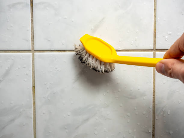 Best Emergency Mold Removal  in Lonsdale, MN