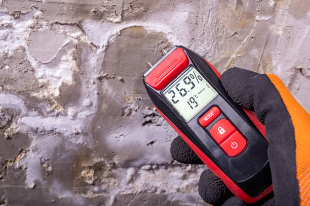 Best Toxic Mold Removal  in Lonsdale, MN